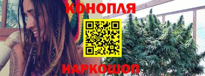 шишки Бузулук