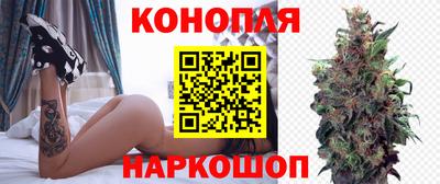 шишки Бузулук