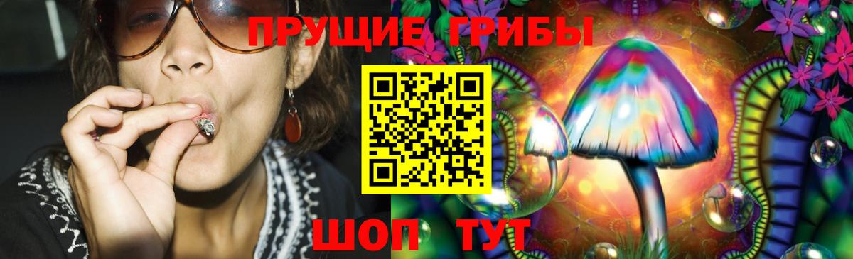 Галлюциногенные грибы MAGIC MUSHROOMS  Псилоцибиновые грибы Psilocybine cubensis  Балабаново  наркота  Вход с VPN 